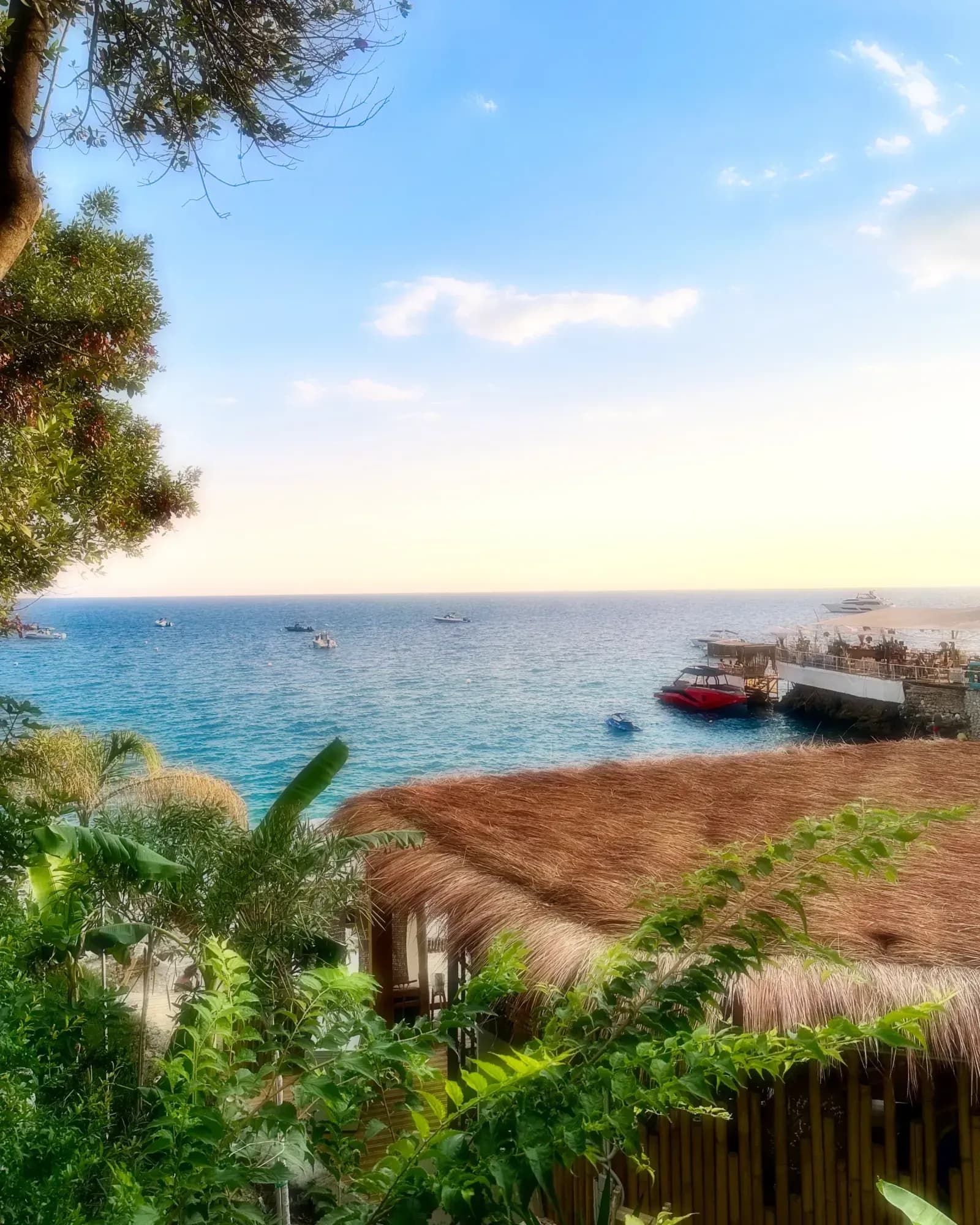 Photograph by Altin Grainca