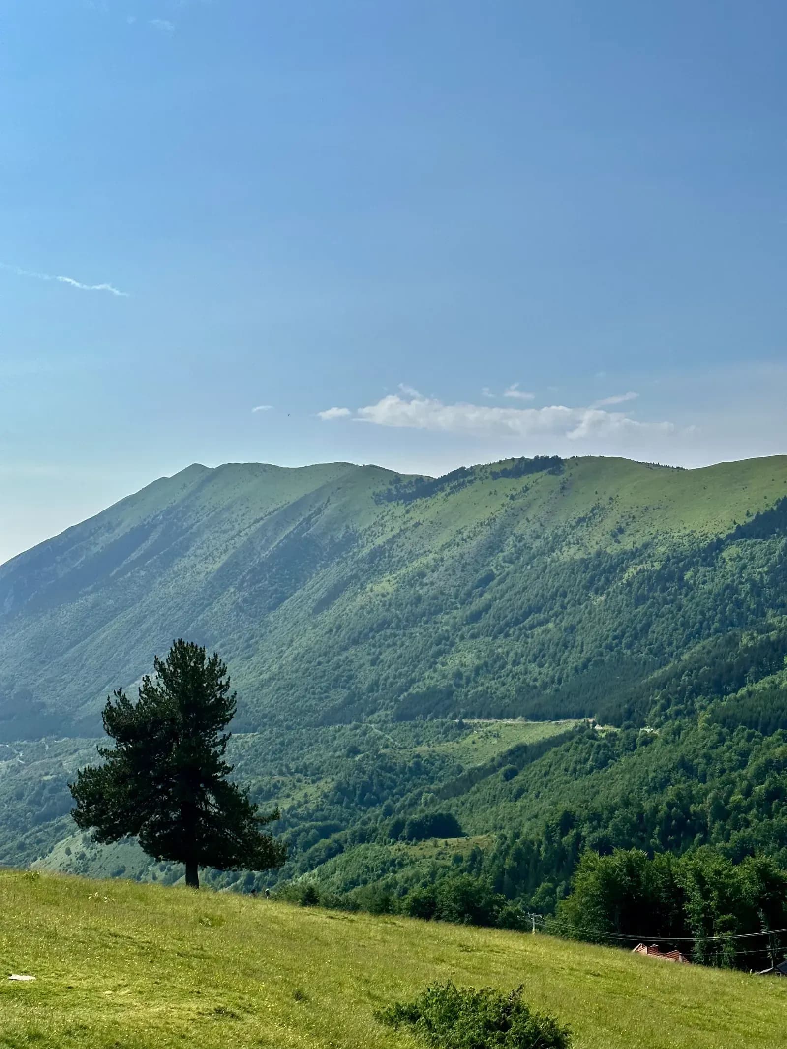 Photograph by Altin Grainca